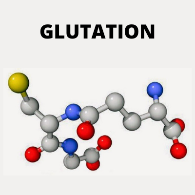 GLUTATION ANTIOXIDANTE CELULAR